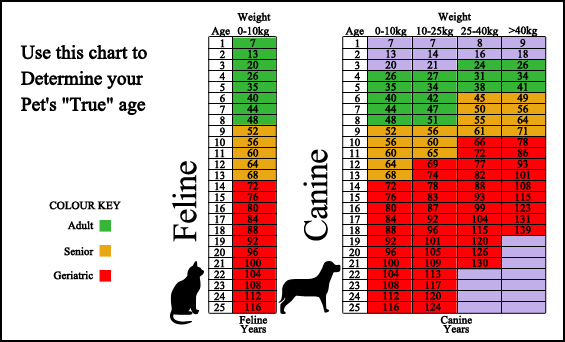 Baker's Bridge Veterinary Clinic - Surveillance Screening